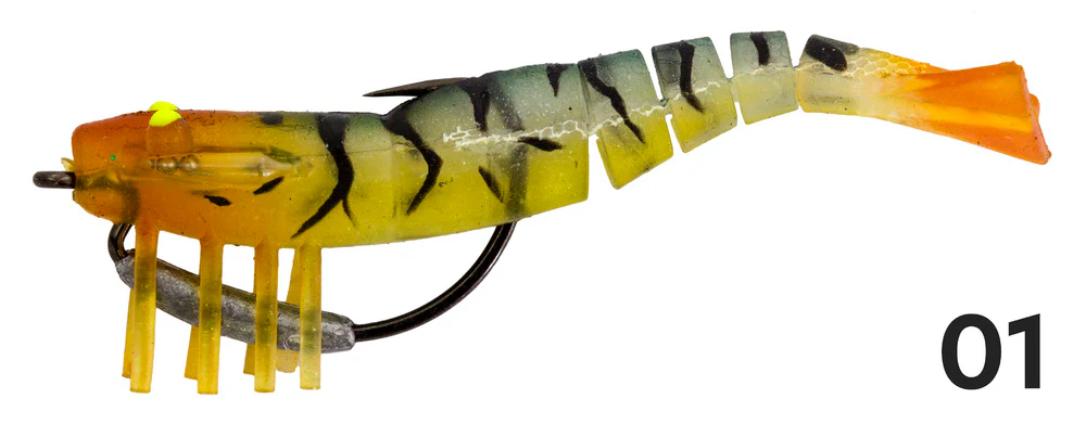 Zerek Live Shrimp - Image 23