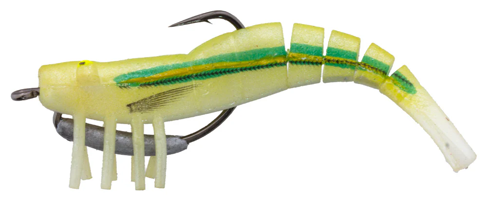 Zerek Live Shrimp - Image 7